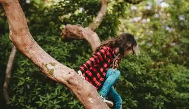 Things to do in Fitzroy these school holidays