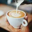Fitzroy Cafes