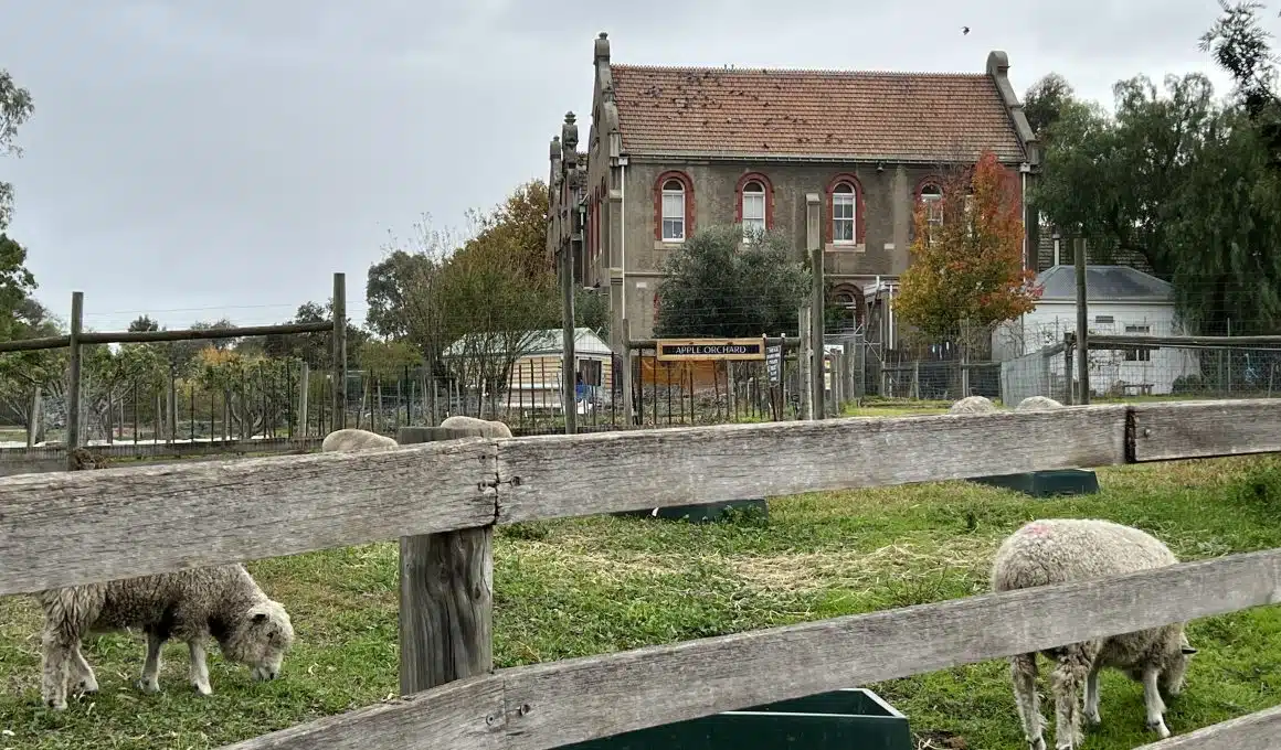 Things To Do With Kids In Fitzroy