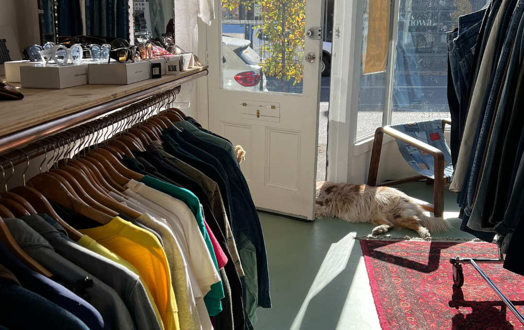 Scout for Vintage Johnston Street Fitzroy
